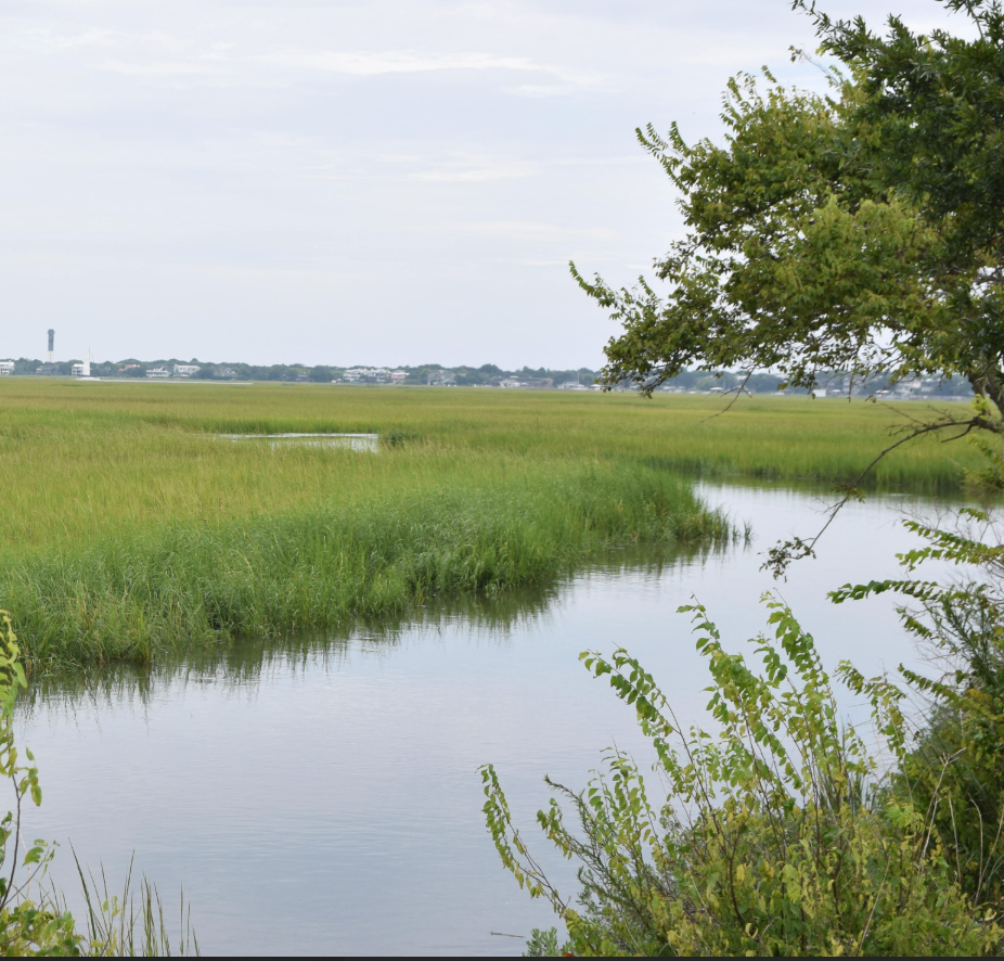 Giving Tuesday 2025: Care For Our Coasts