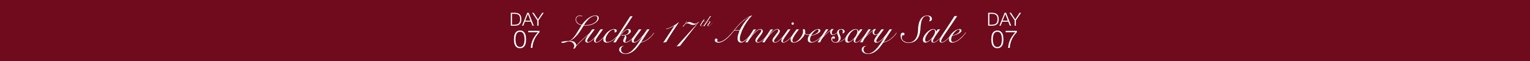 Header banner with maroon background and white text announcing a "Lucky 17th Anniversary Sale" with countdown days displayed on each side.