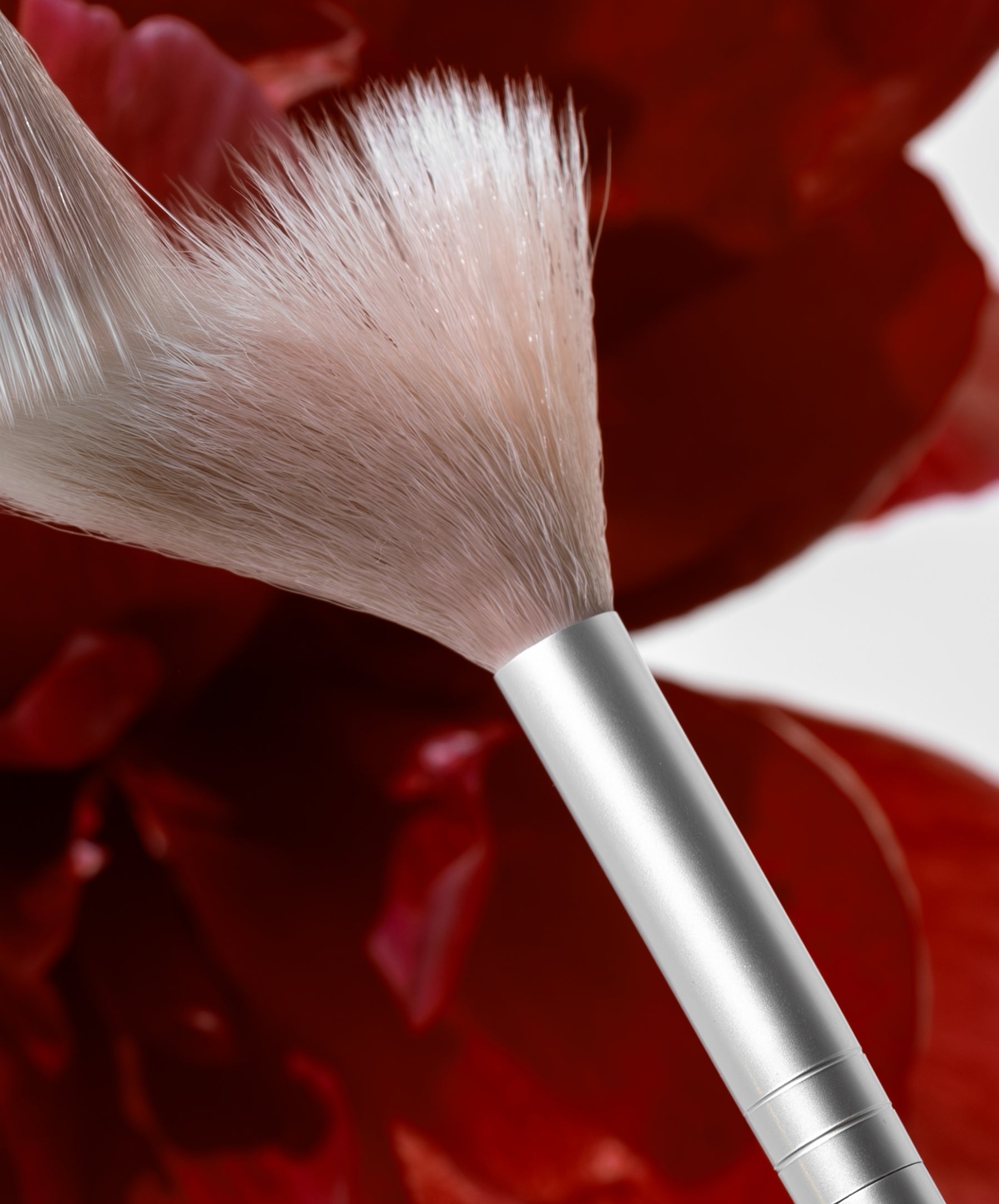 Skin2Skin Classic Fan Brush